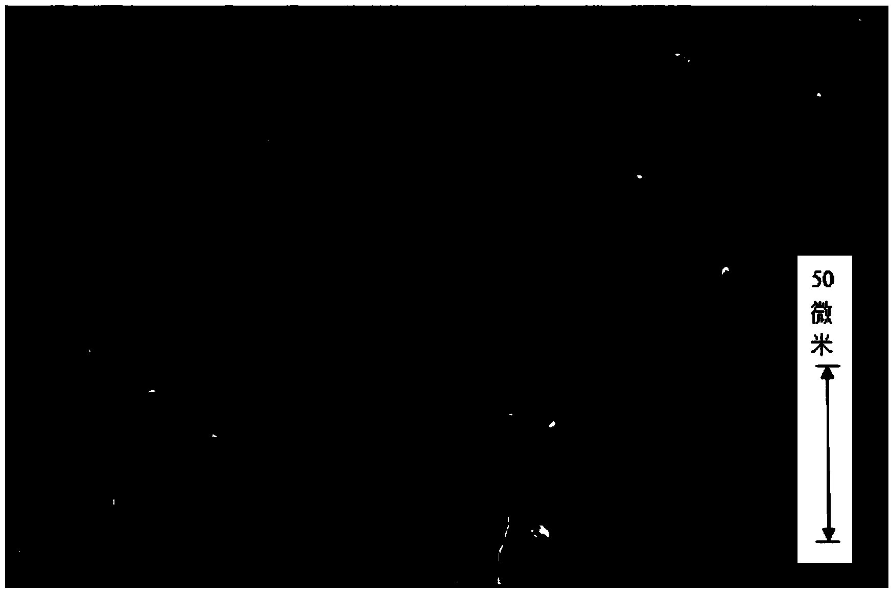 Polyacrylic acid metal salt/boron oxide material as well as preparation method and application thereof