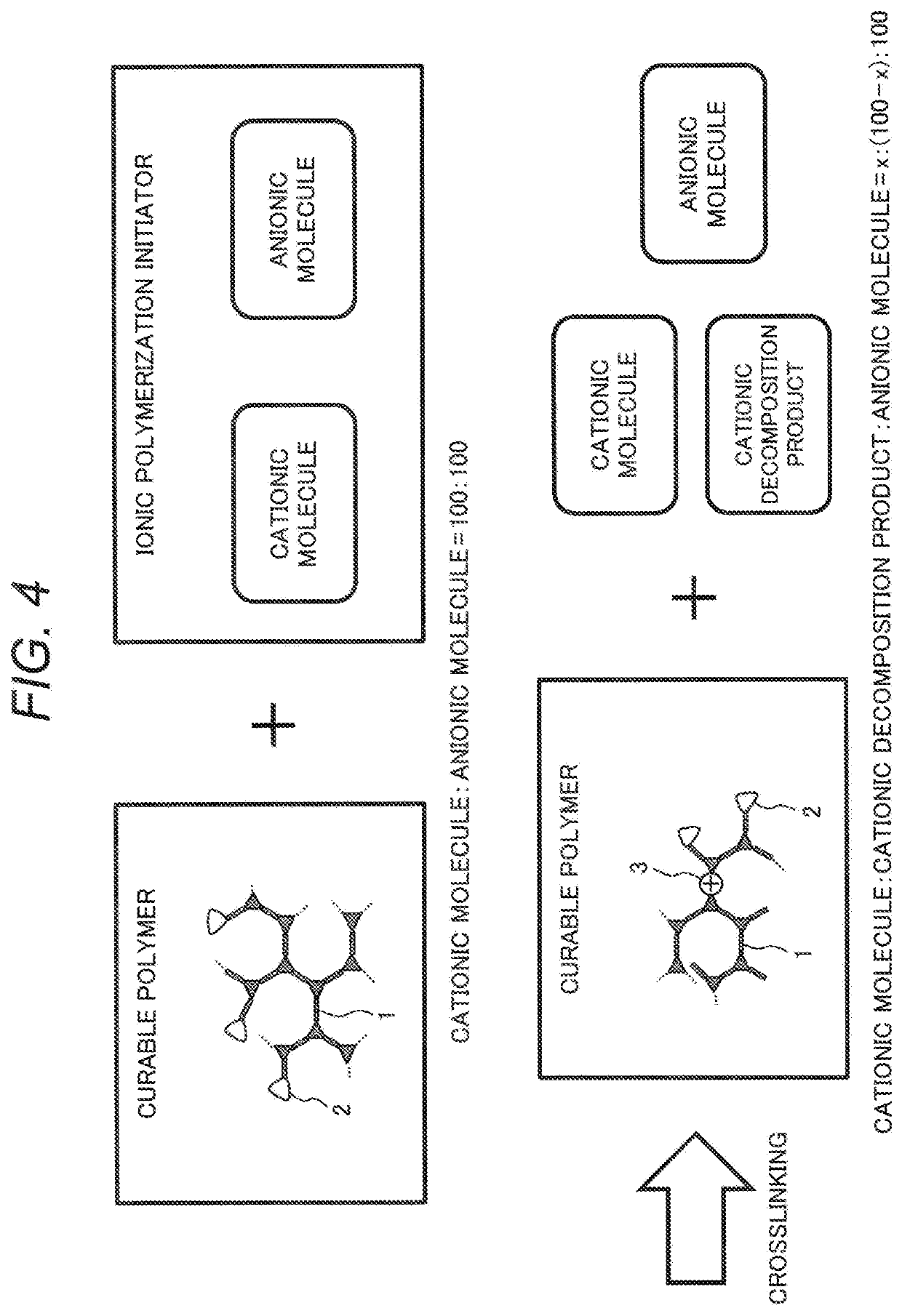 Curable polymer, polymerization liquid, conductive film and organic light emitting element