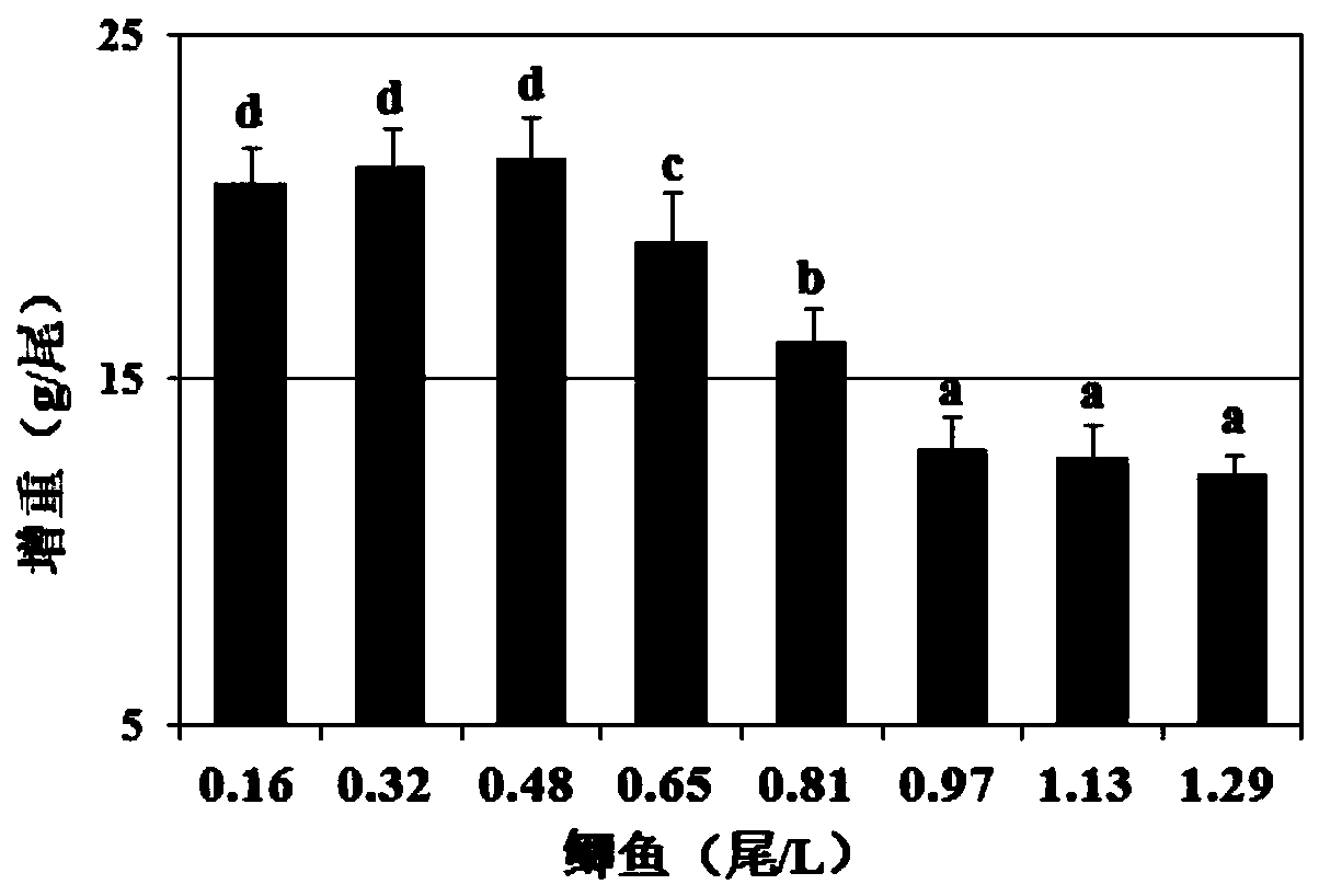 Leonurus artemisia extract, application thereof to fish feed, fish feed and preparation method of fish feed