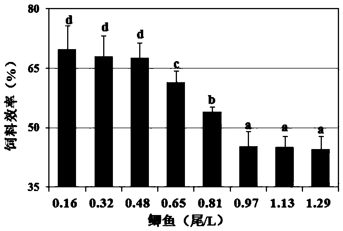 Leonurus artemisia extract, application thereof to fish feed, fish feed and preparation method of fish feed