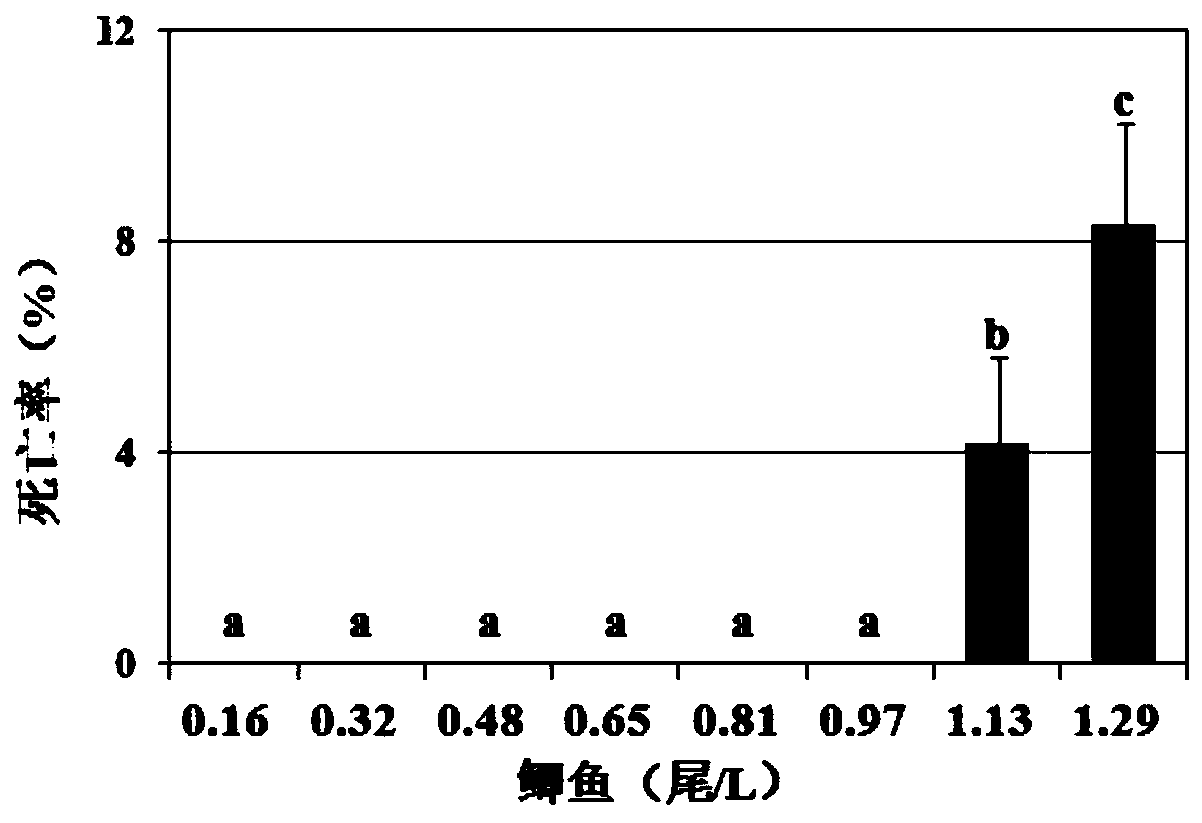 Leonurus artemisia extract, application thereof to fish feed, fish feed and preparation method of fish feed