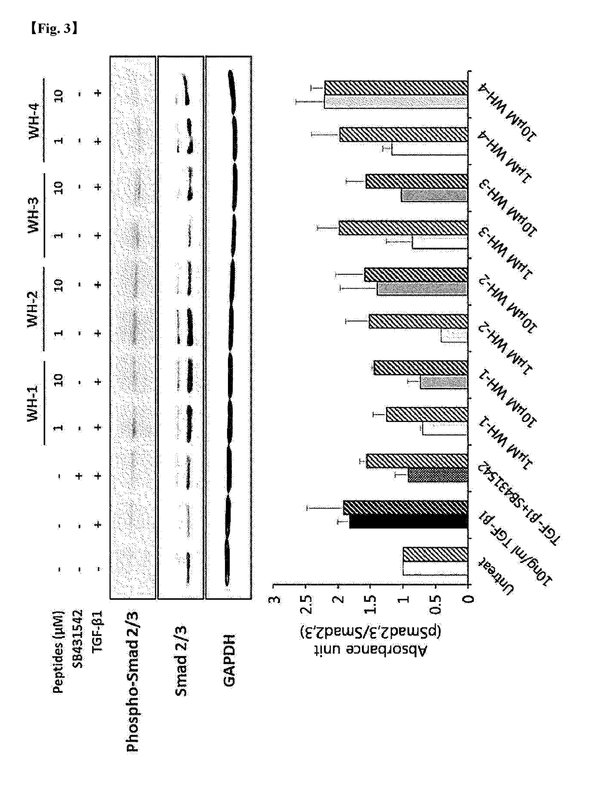 Novel peptide and composition containing the same