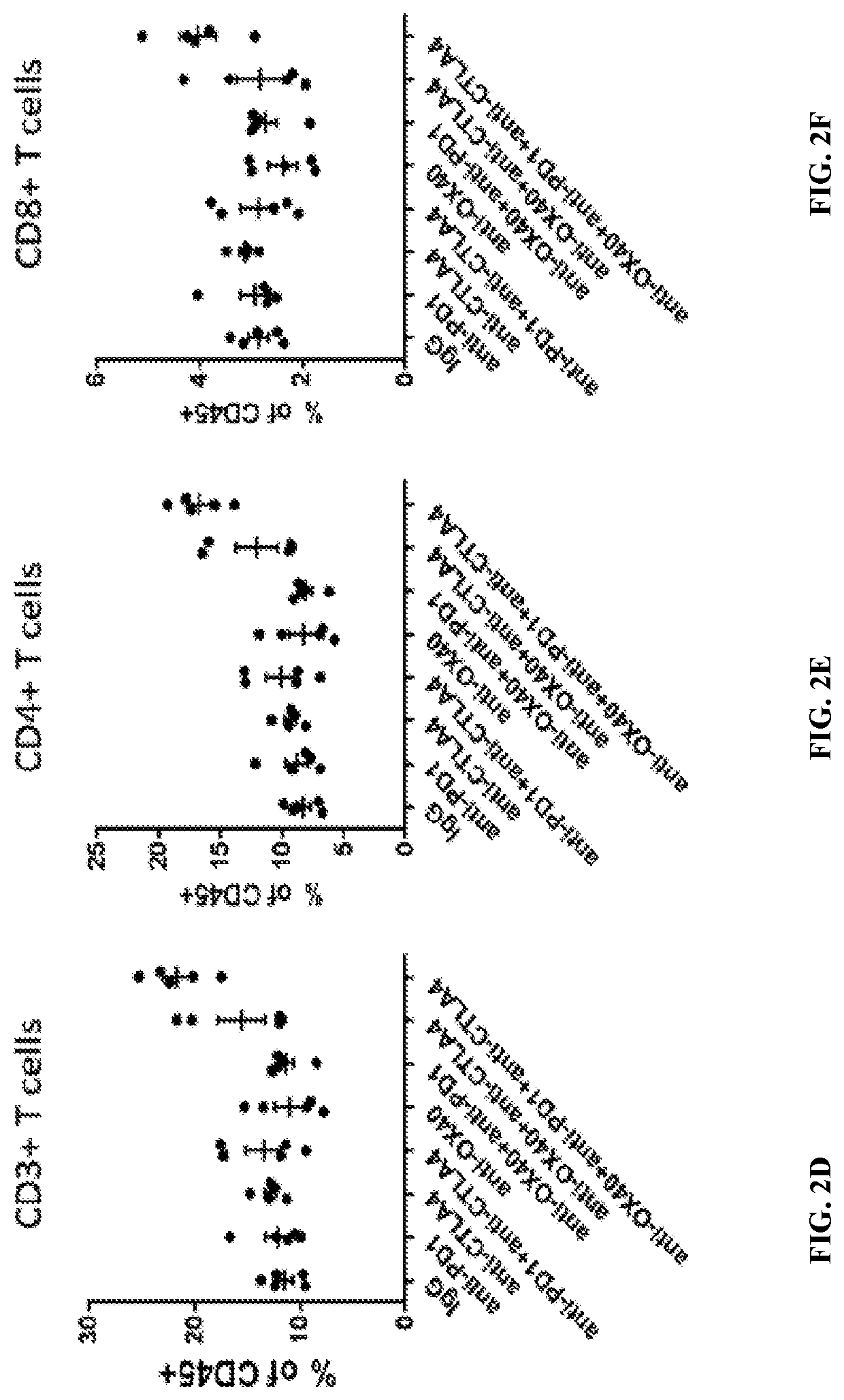 Ox-40 agonist, pd-1 pathway inhibitor and ctla-4 inhibitor combination for use in a method of treating a cancer  or a solid tumor