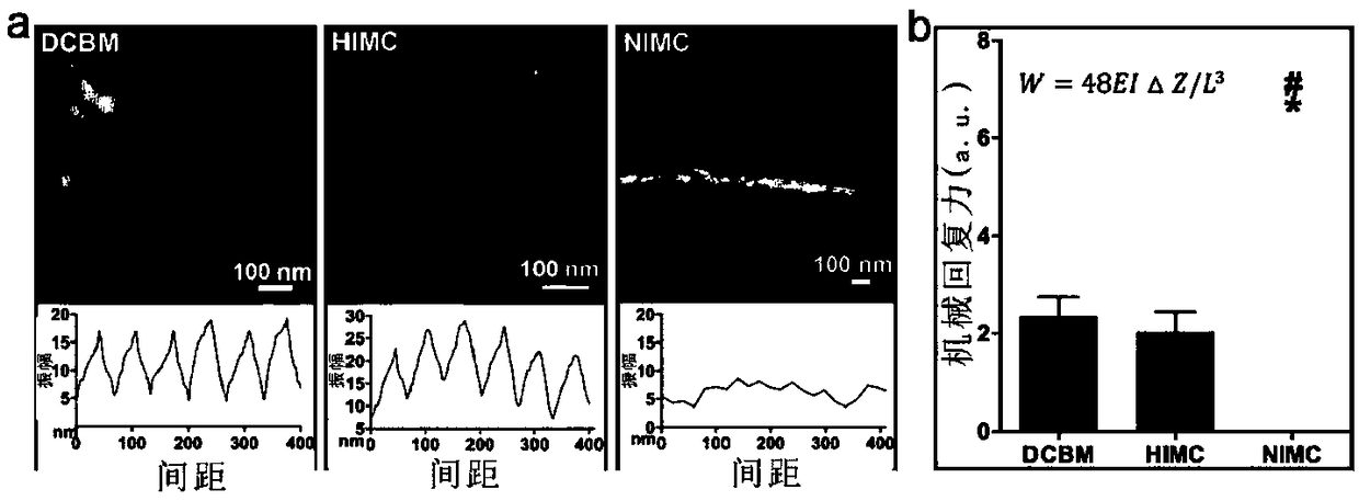 Three-dimensional mineralized collagen scaffold material and bone regeneration application thereof