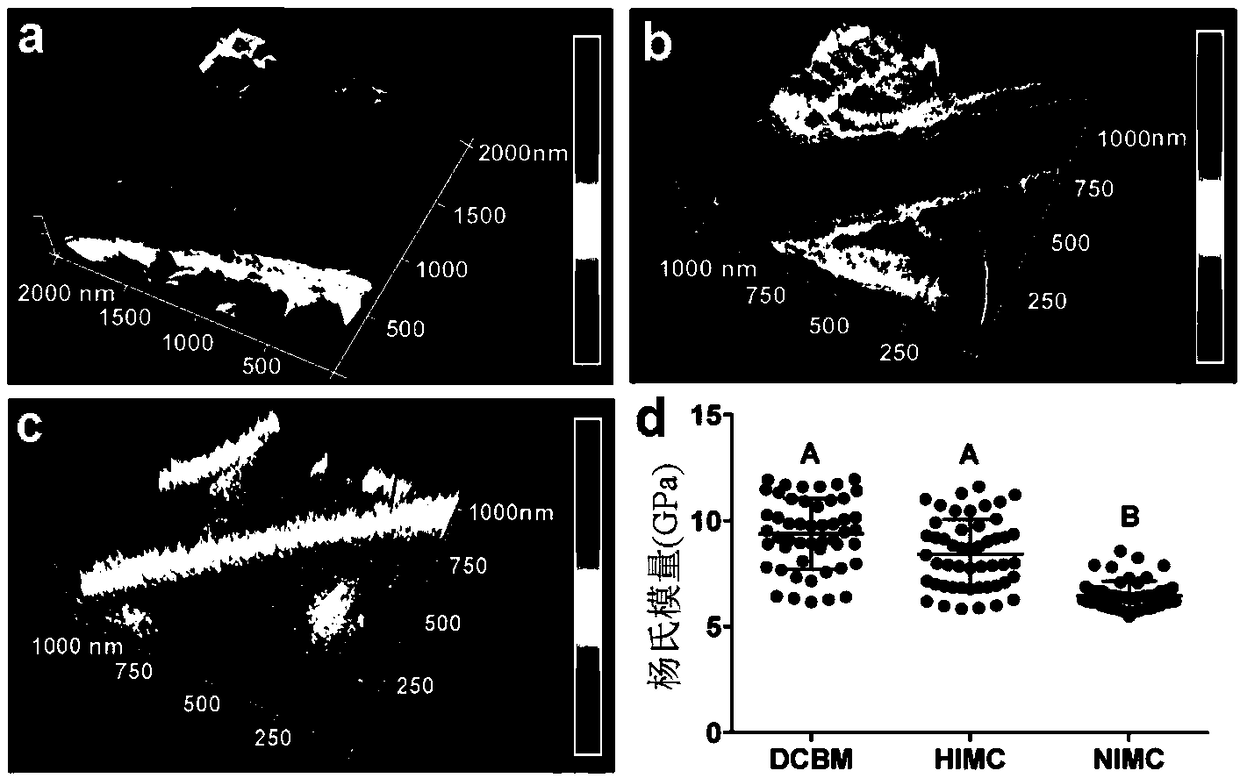 Three-dimensional mineralized collagen scaffold material and bone regeneration application thereof