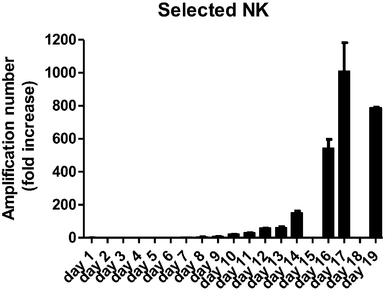 In-vitro pure culture method for natural killer cells