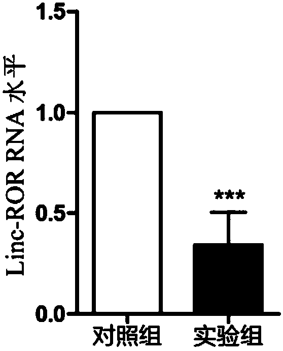 Application of long-chain non-coding RNA-ROR