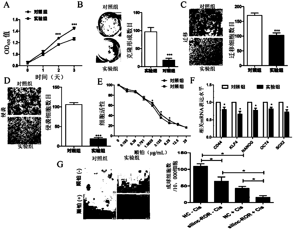 Application of long-chain non-coding RNA-ROR