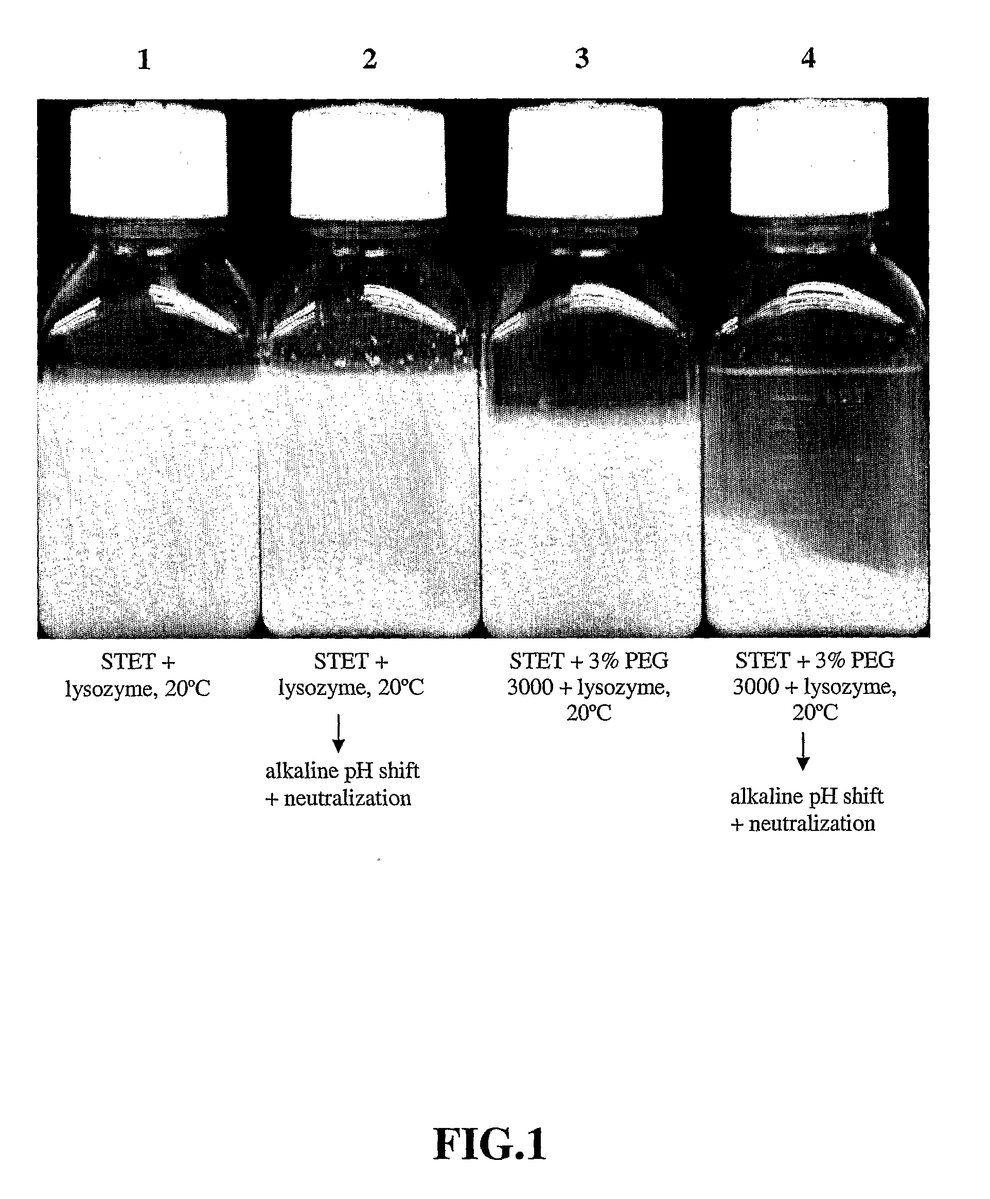 Upstream and a Downstream Purification Process for Large Scale Production of Plasmid Dna