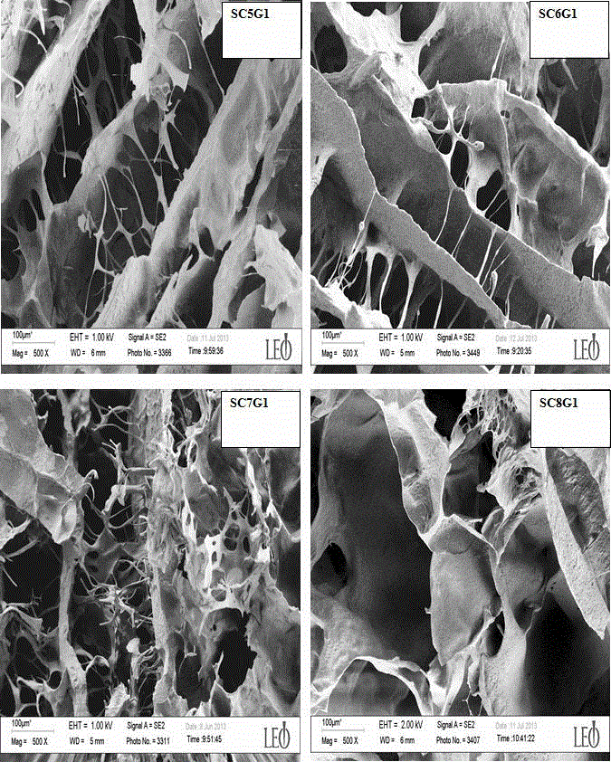 Tissue engineering bracket applicable to human body organ construction and preparation method thereof