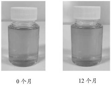 Bird's nest acid anti-blue-light nano composition, preparation method and application thereof