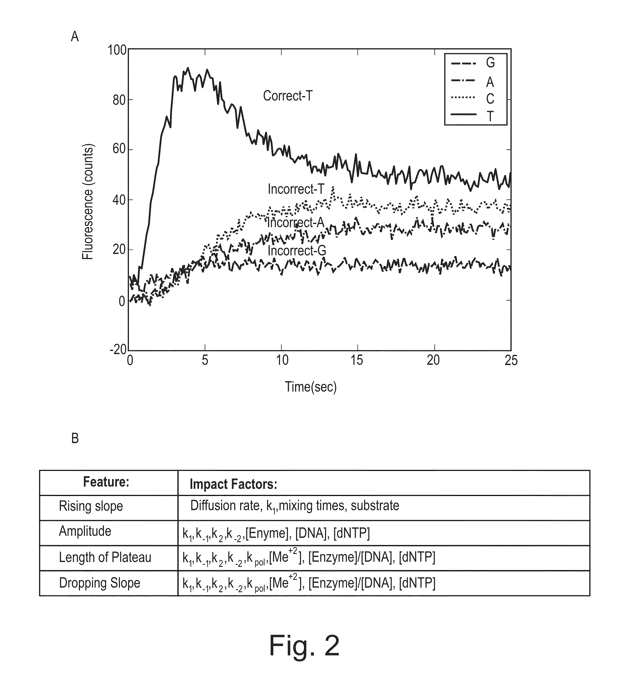 Apparatus and methods for kinetic analysis and determination of nucleic acid sequences