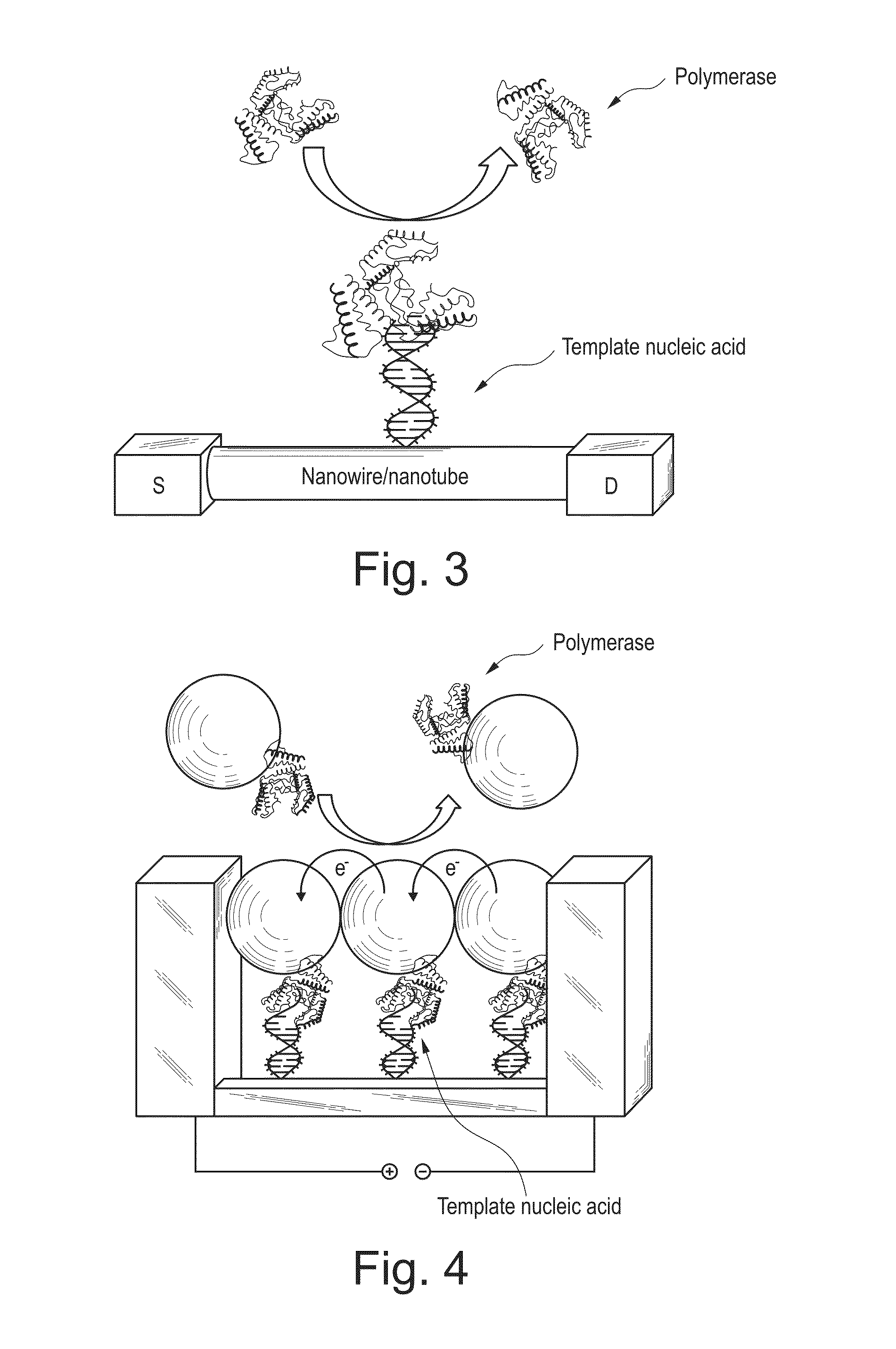 Apparatus and methods for kinetic analysis and determination of nucleic acid sequences