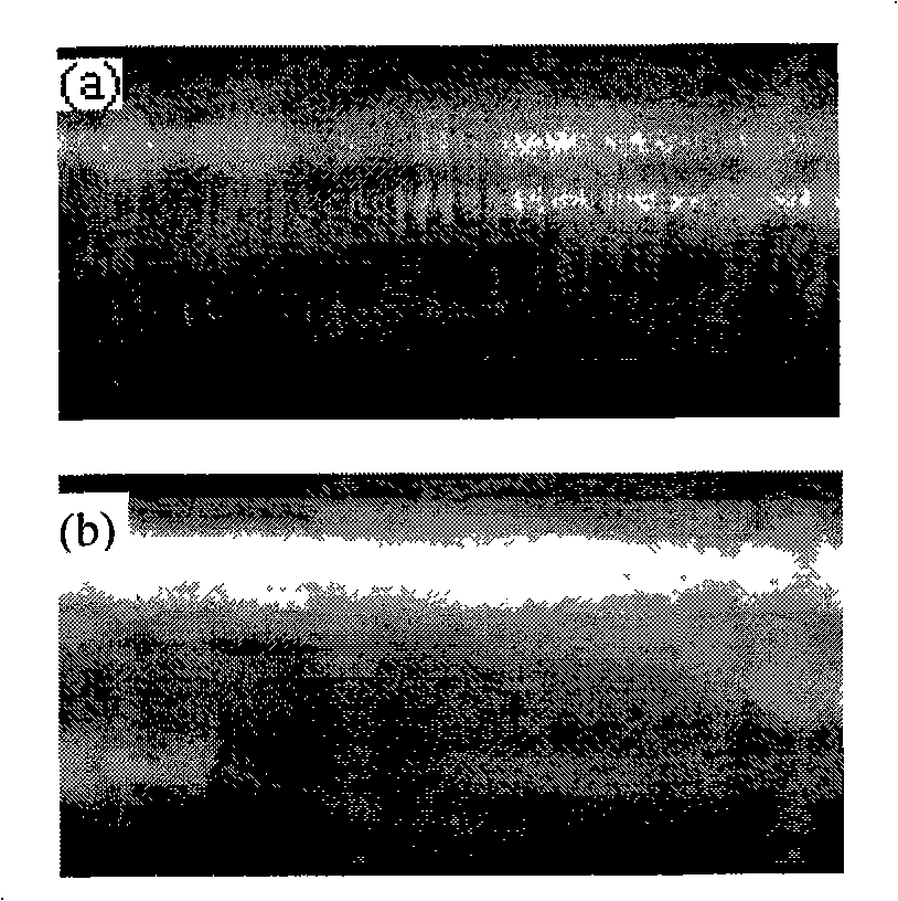 Gas film quick continuous casting device and method in magnetostatic field