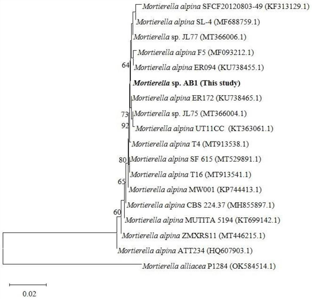 High tellurite tolerant bacterium-mediated synthesized biological tellurium nano-particles and antibacterial application of high tellurite tolerant bacterium-mediated synthesized biological tellurium nano-particles