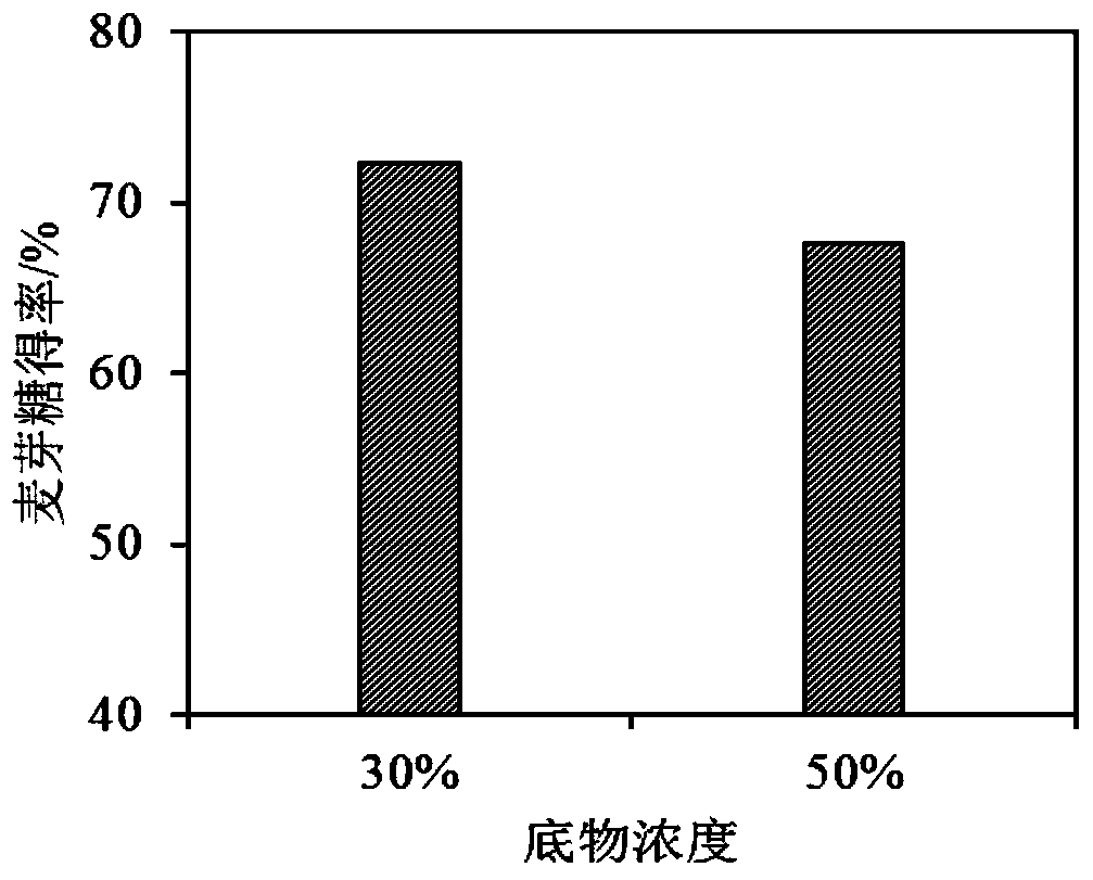 A method for improving the yield of maltose in high-concentration starch saccharification to produce maltose syrup