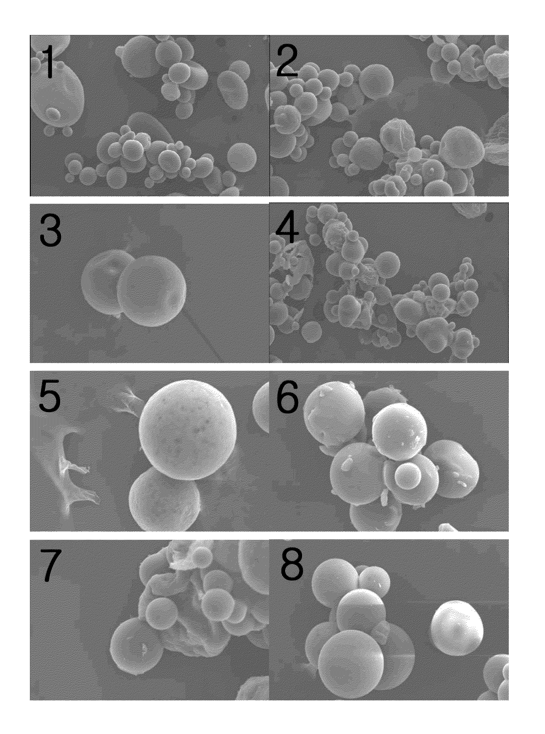 Method for preparing microspheres and microspheres produced thereby