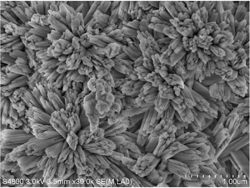 Solvothermal preparation method of silicon-surface vertically-assembled CeO2 nanorod film