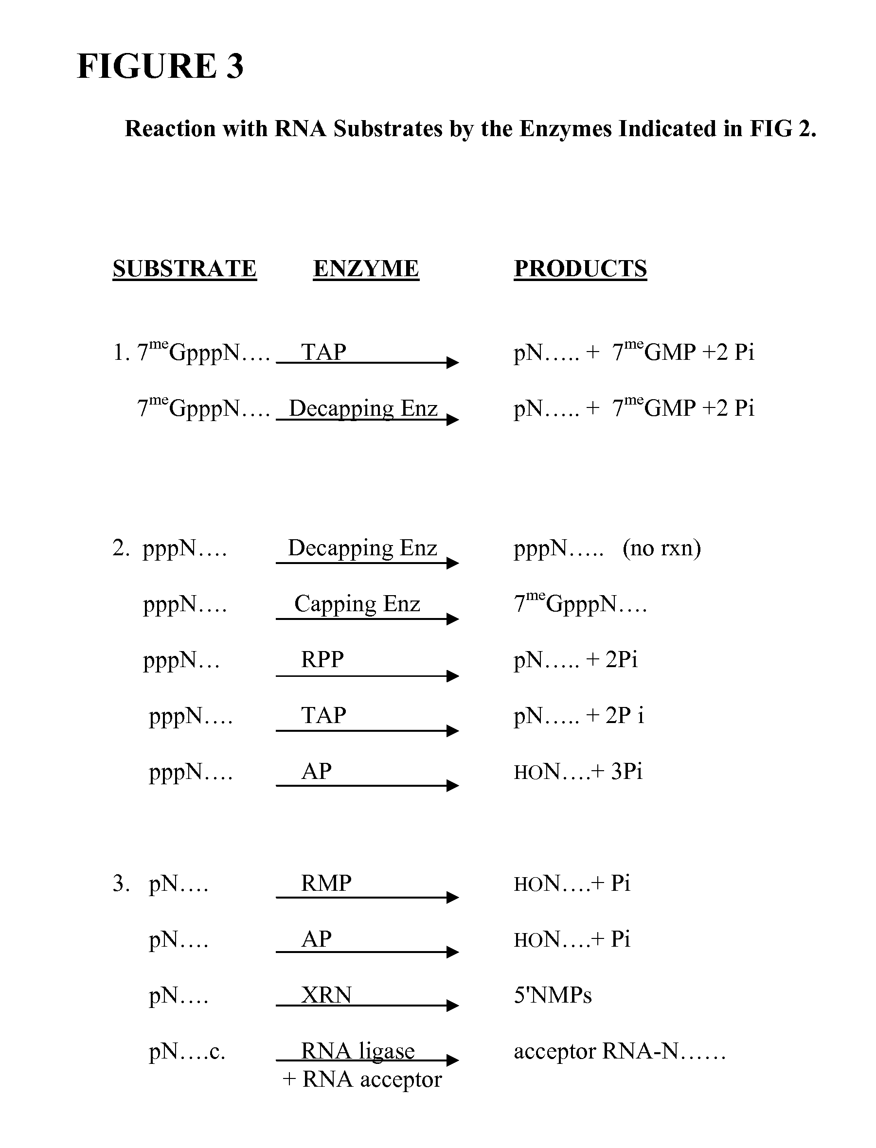 Selective 5' Ligation Tagging of RNA