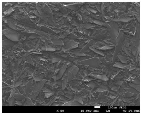 Drug-loaded polymer/calcium-phosphorus composite coating and preparation of degradable magnesium-based intraosseous implants