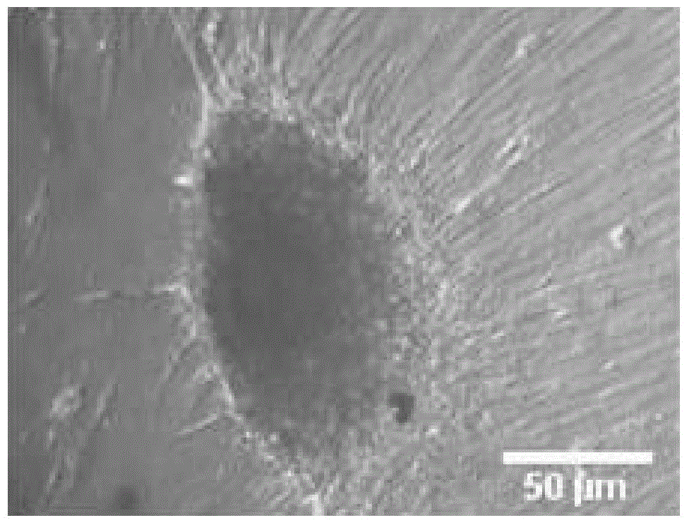 Kit and method for effectively inducing somatic cell phenotype reprogramming