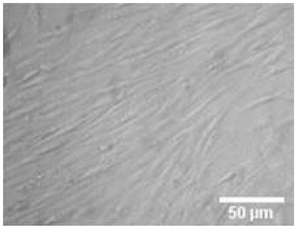 Kit and method for effectively inducing somatic cell phenotype reprogramming