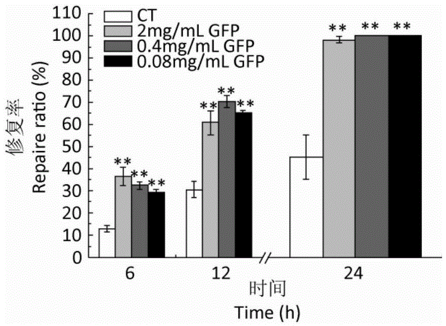 Extraction process and application of grifolan