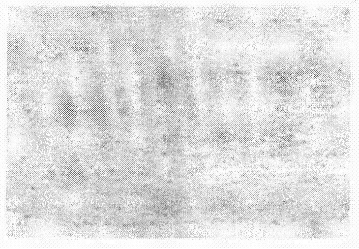 Cryopreservation solution of tissue engineering products and application method thereof