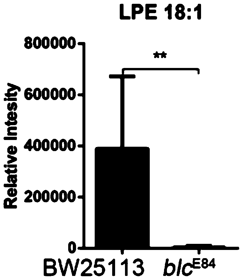 Application of lysophosphatidylethanolamine 18: 1 in preparing drug for relieving and treating inflammatory bowel diseases