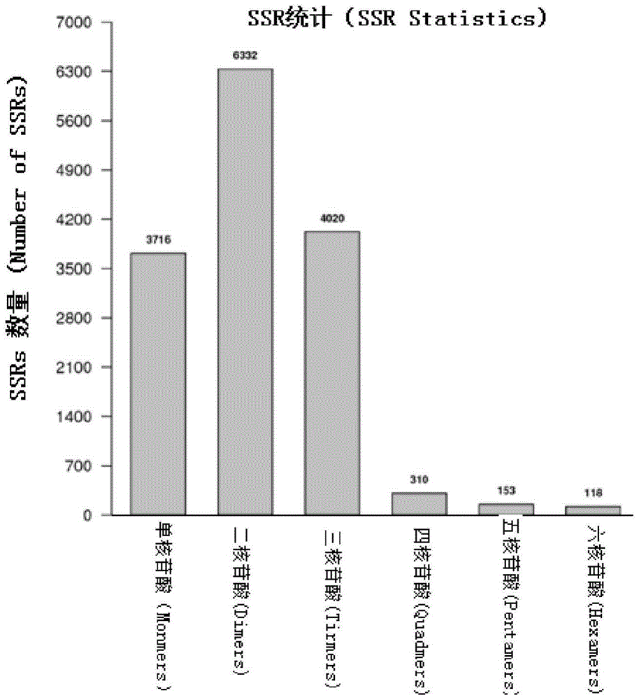 A Construction Method of Microsatellite DNA Molecular Marker