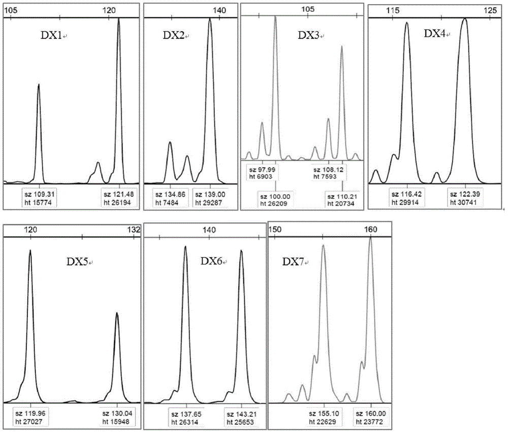 A Construction Method of Microsatellite DNA Molecular Marker