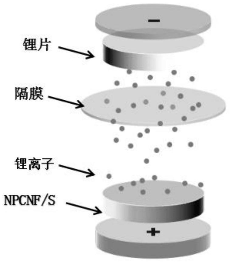 Novel lithium-sulfur battery material applied to energy storage system