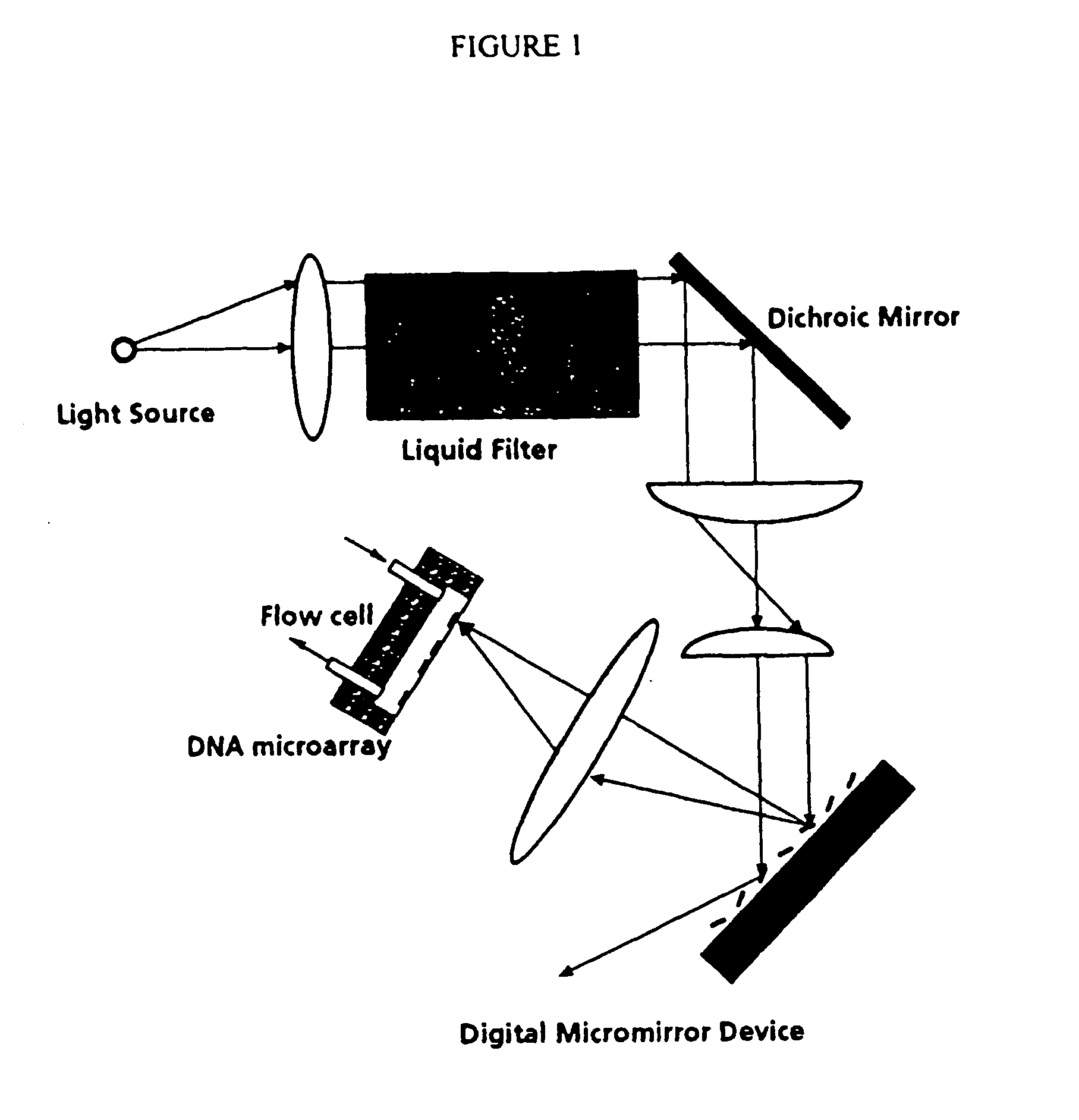 Apparatus, composition and method for proteome profiling