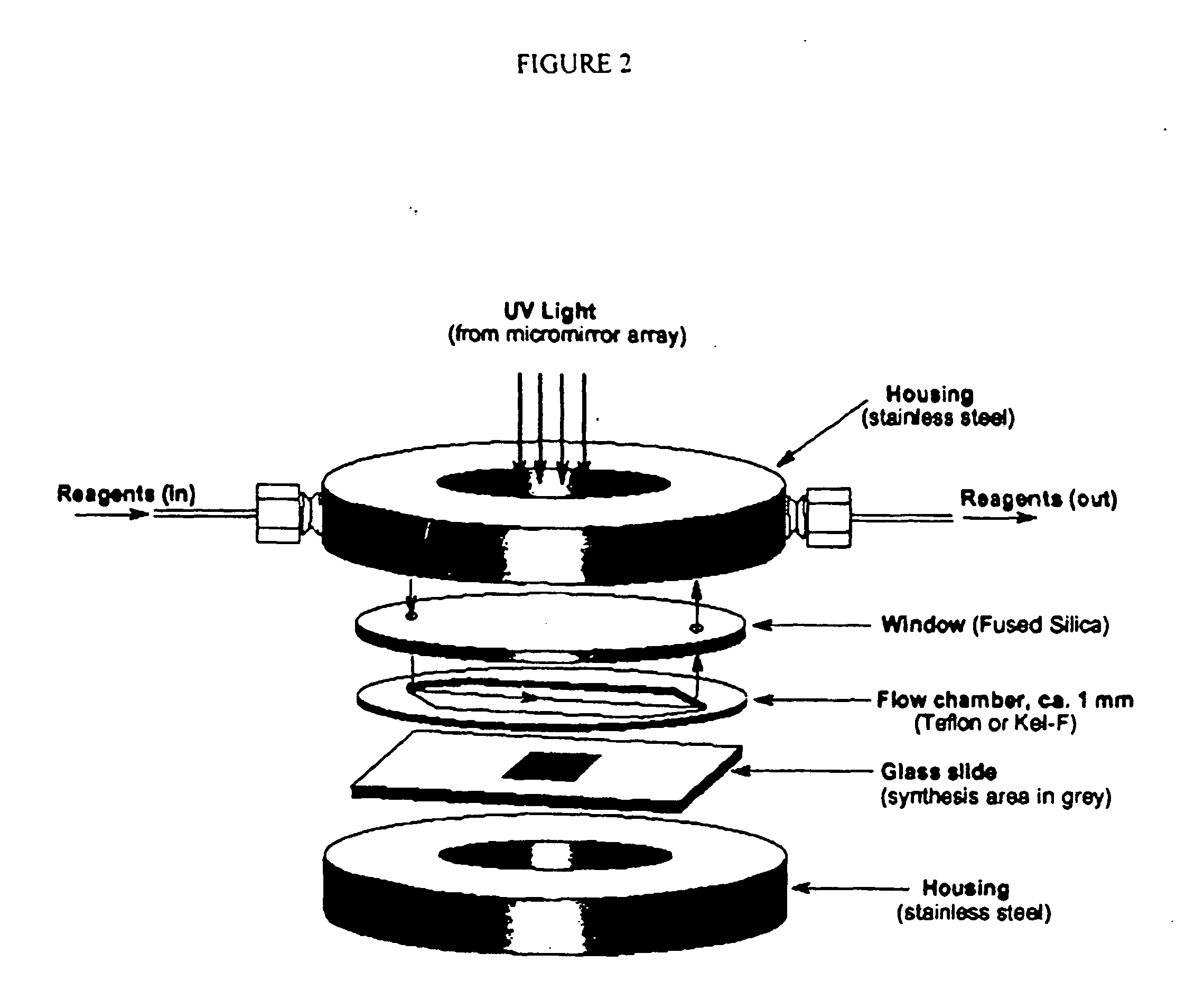 Apparatus, composition and method for proteome profiling