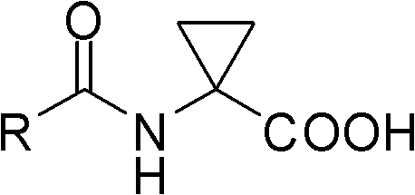 Preparation and activity of aryl formyl amino cyclopropanecarboxylic acid