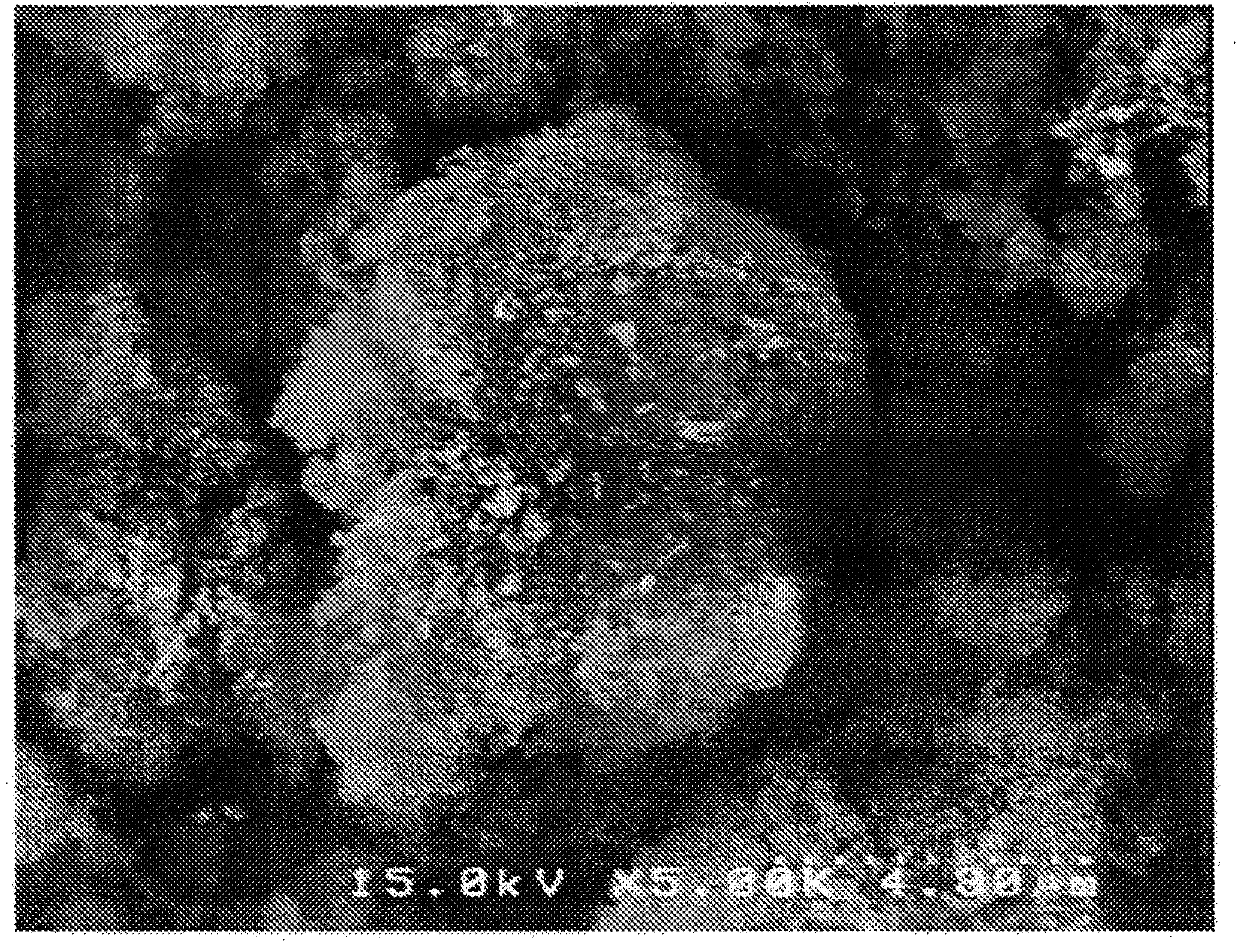 Electrode active substance and method for producing same