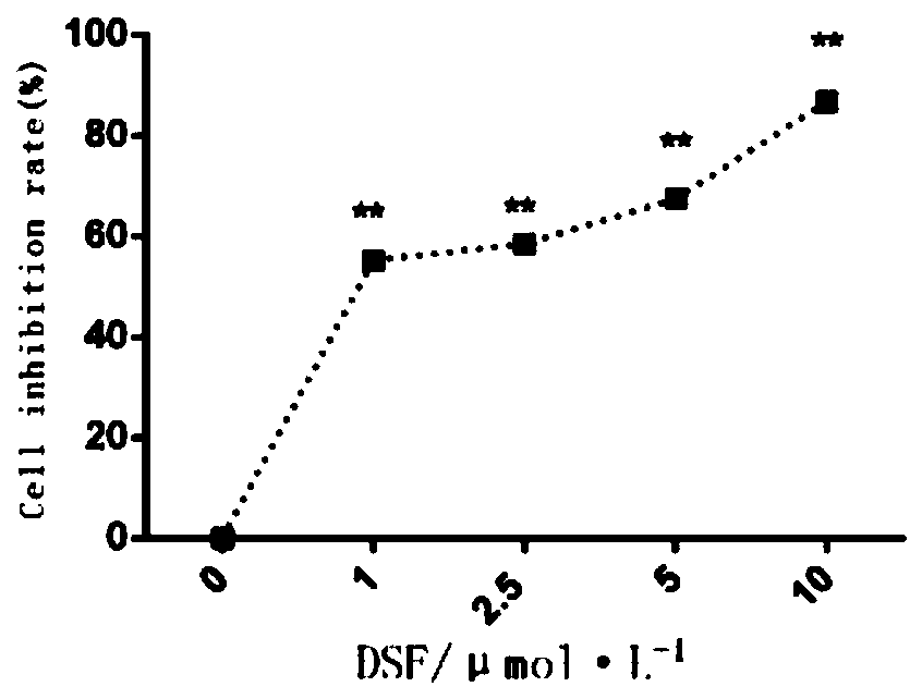 Application of disulfiram in preparation of drug for treating liposarcoma