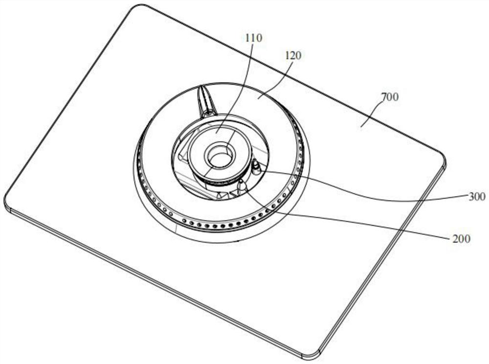 Combustion device and gas stove