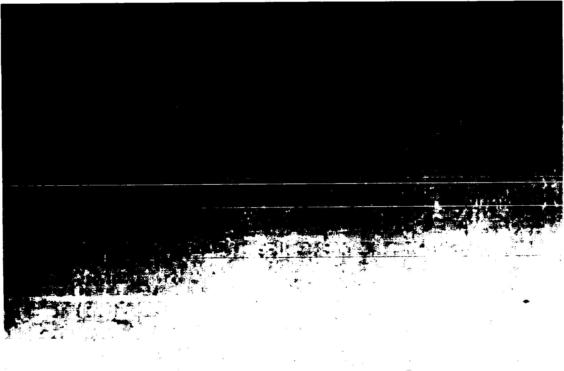 Austenitic stainless steel plate and manufacture method thereof