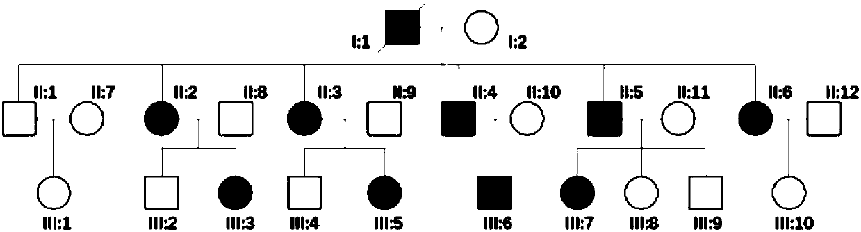 Separated encoded IFNLR1 mutant nucleic acid and application thereof