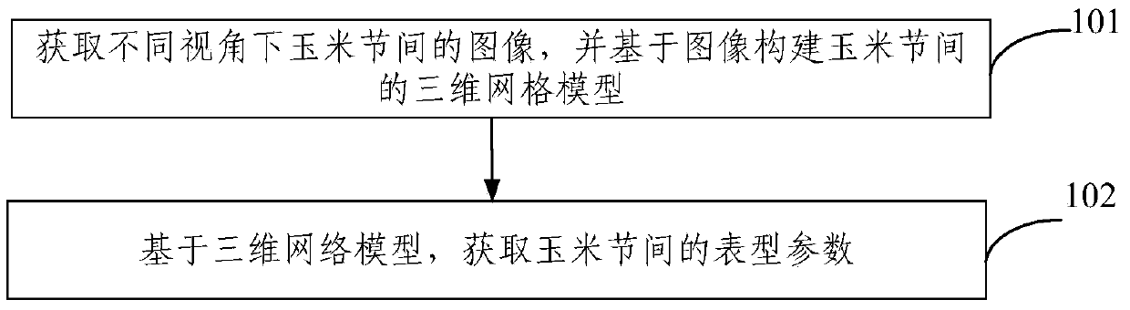 Corn internode phenotypic parameter obtaining method and device