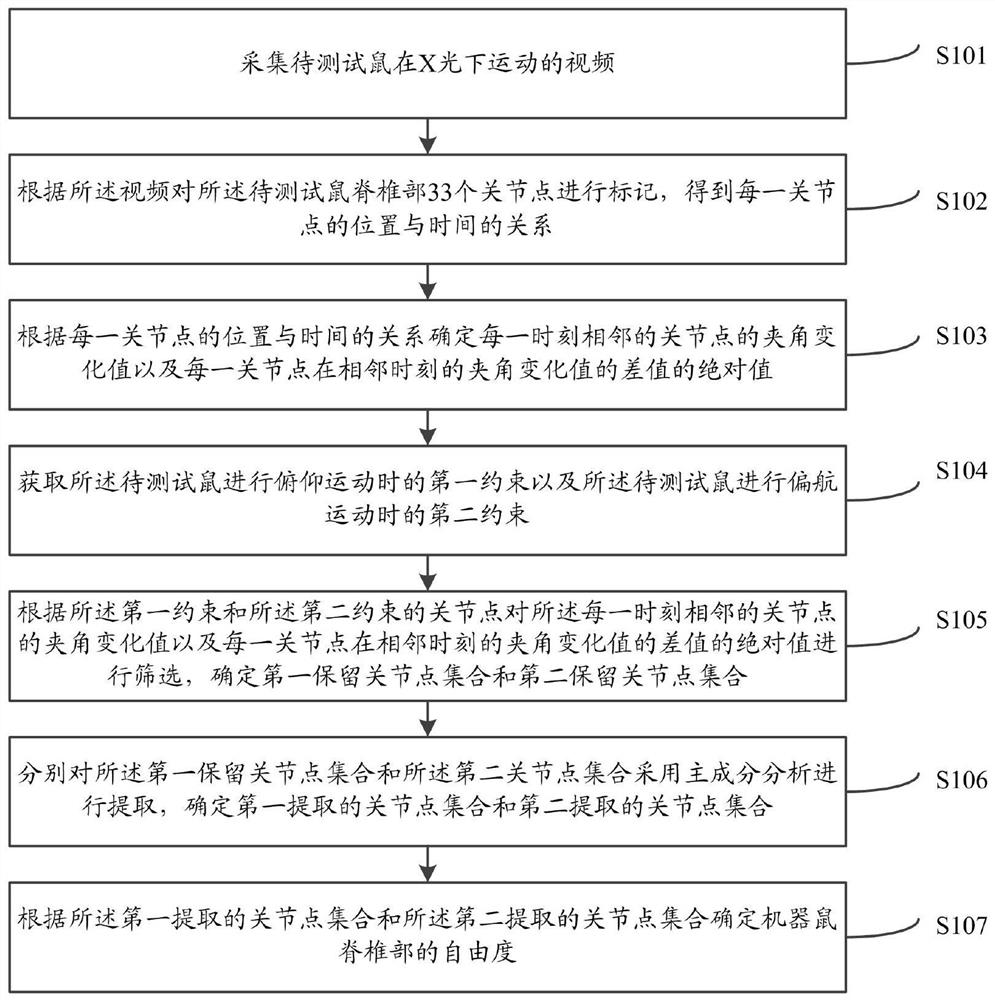 Method and system for determining degree of freedom of spine of robotic mouse