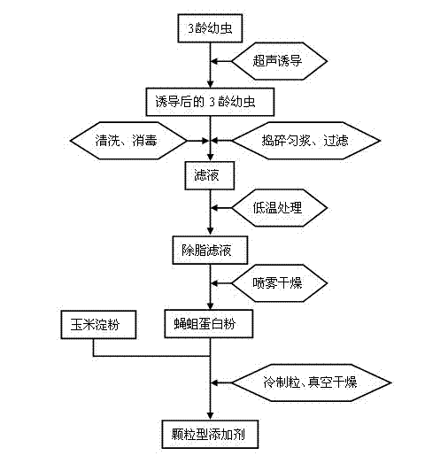 Albumen powder richening in antimicrobial peptide fly maggot, preparation method for albumen powder and feed additive of albumen powder