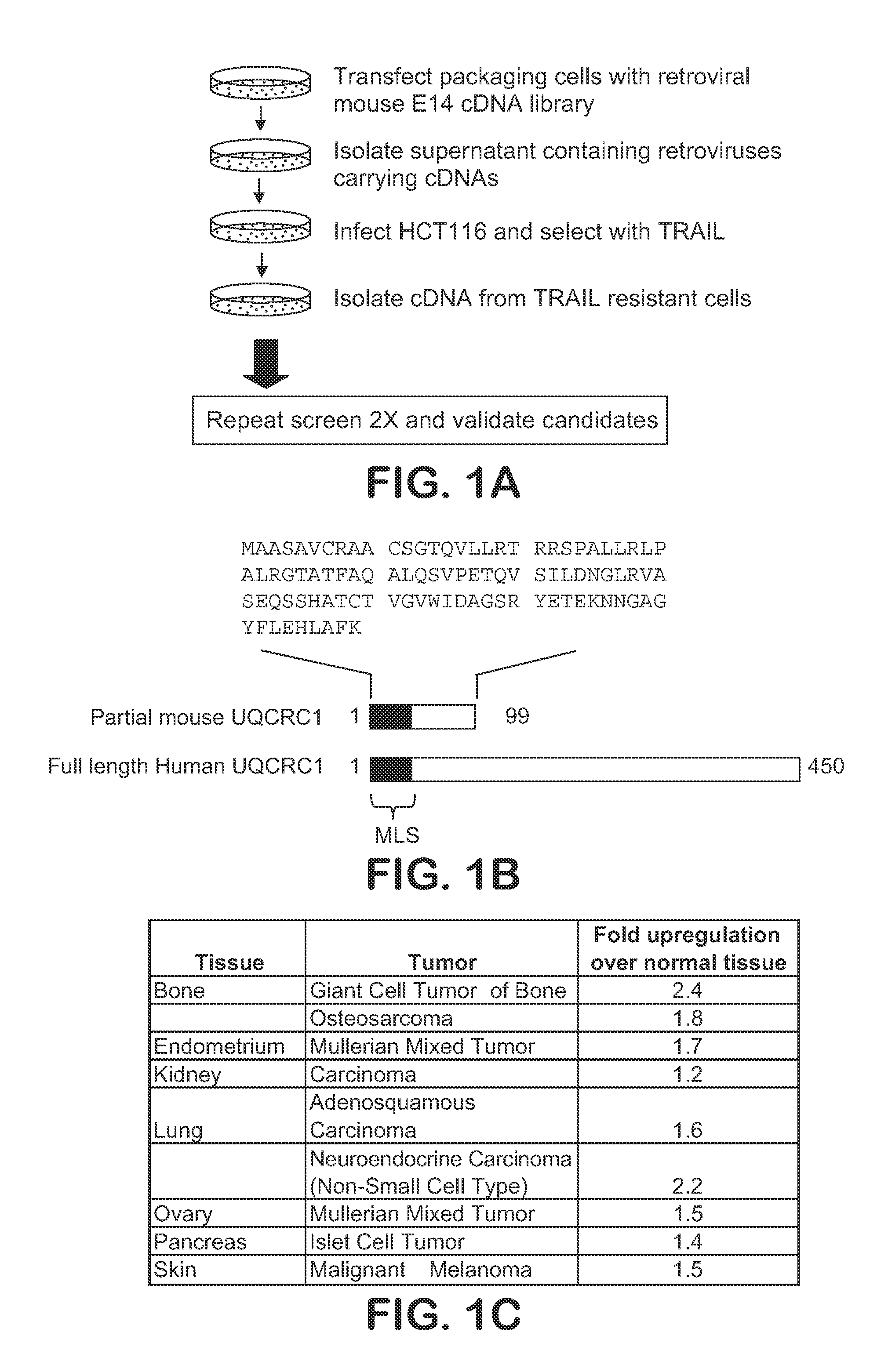 Composition and Method for Treatment of Tumors