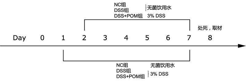 Application of molybdenum-based polyoxometallate cluster in treatment of inflammatory diseases