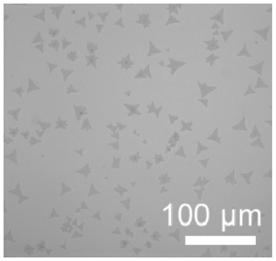 Two-dimension transition metal sulphur group compound and preparation method and device thereof