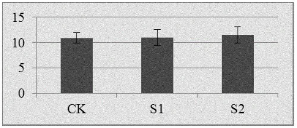 Method for accelerating of petunia seedling growth