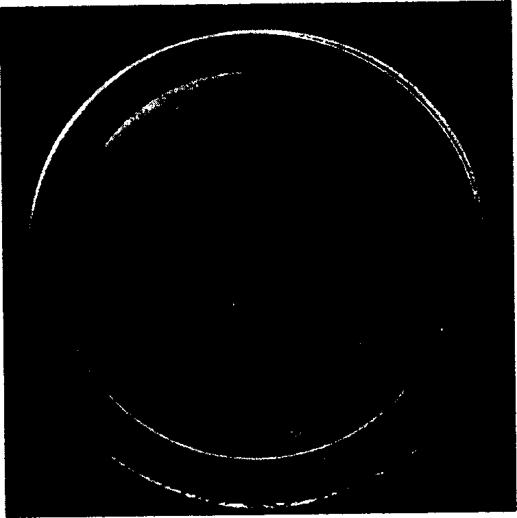 Staphylococcus xylosus I2 strain, composite ferment produced thereby and the use of ferment in meat ware