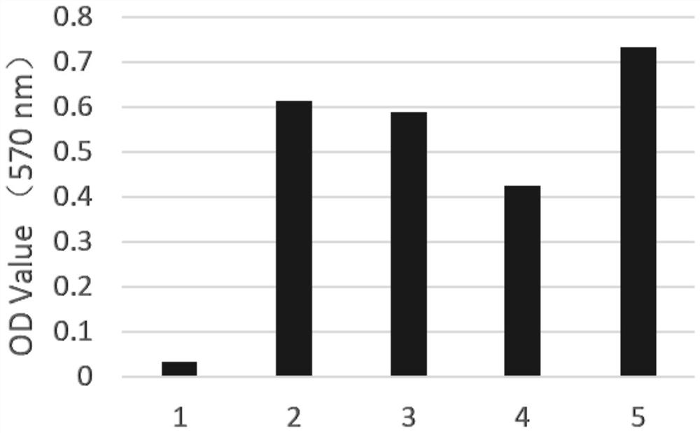 Method for constructing DC vaccine modified by Ad-NK4