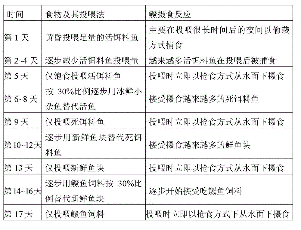 Mandarin fish feed and artificial feeding domestication method for mandarin fish